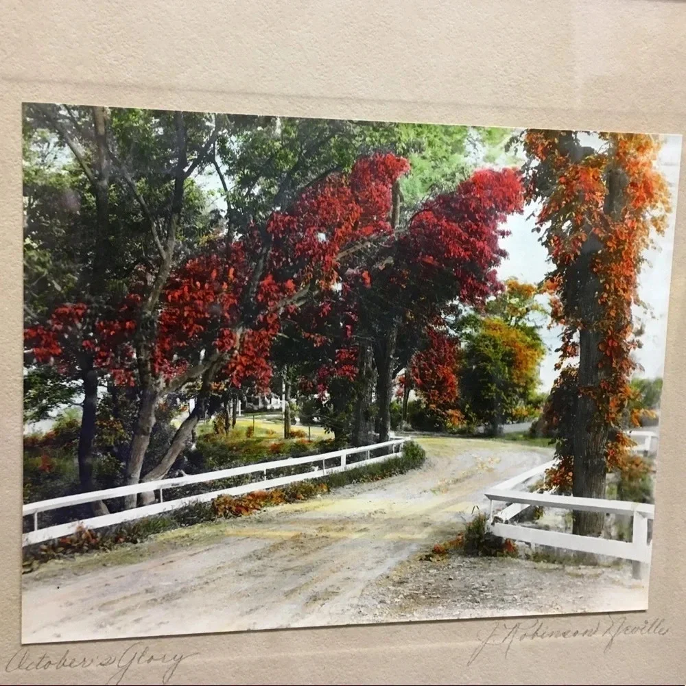 Vintage J. Robinson Neville “October’s Glory” photo